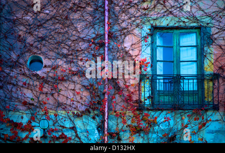 Fenster auf Efeu bewachsenen Wand in Italien in der Abenddämmerung Stockfoto