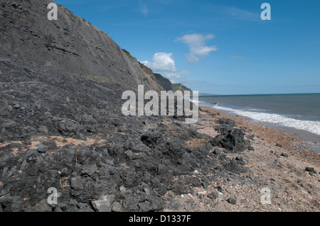 Rock fallen und Schlammlawinen auf weichen Klippen am Charmouth, Dorset, UK. Sehen Sie East in Richtung Golden Cap in Ferne zu sehen. Juli. Stockfoto