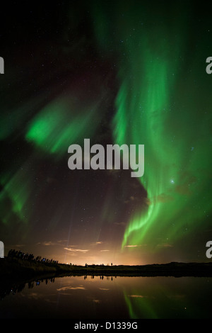 Aurora Borealis (Nordlicht) in Island in der Nähe von Reykjavik spiegelt sich in einem Teich mit Zuschauer entlang des Ufers. Stockfoto