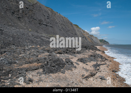 Rock fallen und Schlammlawinen auf weichen Klippen am Charmouth, Dorset, UK. Sehen Sie East in Richtung Golden Cap in Ferne zu sehen. Juli. Stockfoto