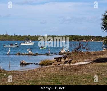 Eröffnungstag für Snook Angeln im Sebastian Inlet State Park am Atlantik an der Ostküste von Florida Stockfoto