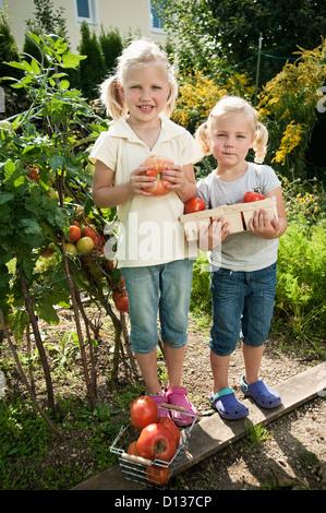 Deutschland, Bayern, Mädchen sammeln Tomaten im Gemüsegarten Stockfoto