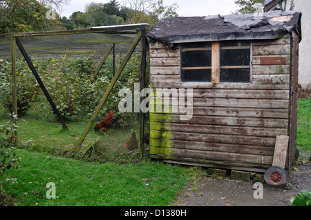 Hühnerstall mit saldierten laufen Freilandhaltung Bio Stockfoto