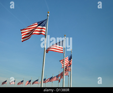 Viele amerikanische Flaggen gegen einen klaren blauen Himmel genommen am Fuße des Washington Monument in Washington DC USA Textfreiraum Stockfoto