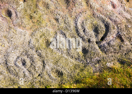 Tasse und Ring Marken auf dem alten Dachs Stein auf Ilkley Moor, Yorkshire, Großbritannien. Stockfoto