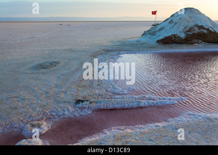 Salt Lake Chott el Jerid in zentralen Tunesien, Afrika. Tunesische Flagge und rosa Wasser mit Salz Stockfoto