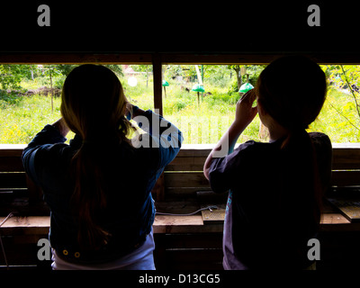 Zwei Mädchen Vogelbeobachtung mit dem Fernglas in einem Versteck in Yorkshire England UK Stockfoto
