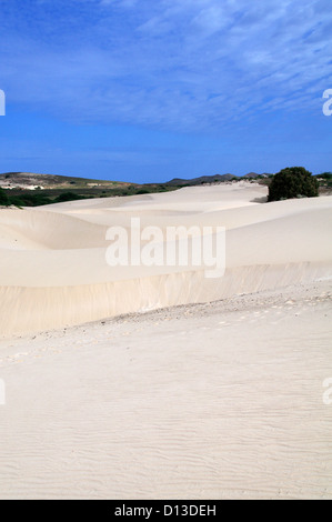 Deserto de Viana - Viana Wüste auf der Insel Boa Vista, Kap Verde Stockfoto