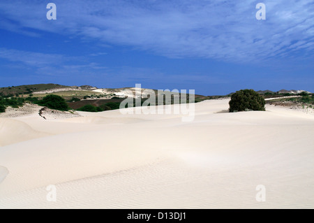 Deserto de Viana - Viana Wüste auf der Insel Boa Vista, Kap Verde Stockfoto