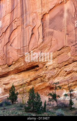 Reflektierende Licht erhellt die Felswände des Grand Wash und Utahs Capitol Reef National Park. Stockfoto