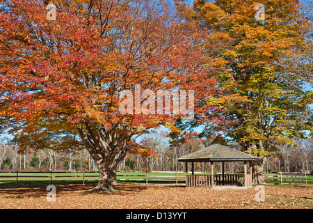 Ein hölzerner Pavillon in einem Park mit den umliegenden Bäumen zeigt Herbstfarben Stockfoto