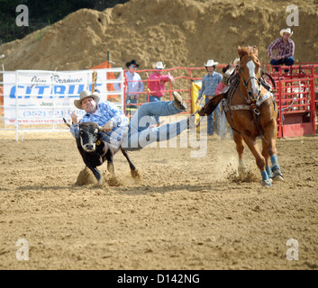 Rodeo Bronco Reiten Stockfoto