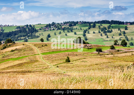 fields and meadows surrounding Zakopane Stockfoto
