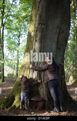 Mutter und Sohn umarmt Baum im Wald Stockfoto