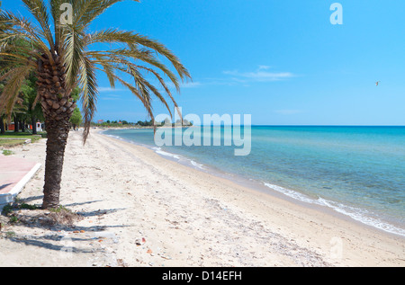 Malerischen Strand auf der Halbinsel Chalkidiki in Griechenland Stockfoto