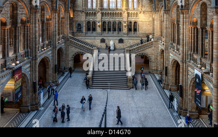 Blick von der Haupthalle aus der oberen Galerie im Natural History Museum, London Stockfoto