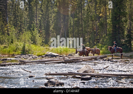 Drei Pferde Kreuzung String Lake - Grand-Teton-Nationalpark, Wyoming, USA Stockfoto