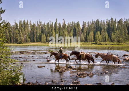 Drei Pferde Kreuzung String Lake - Grand-Teton-Nationalpark, Wyoming, USA Stockfoto