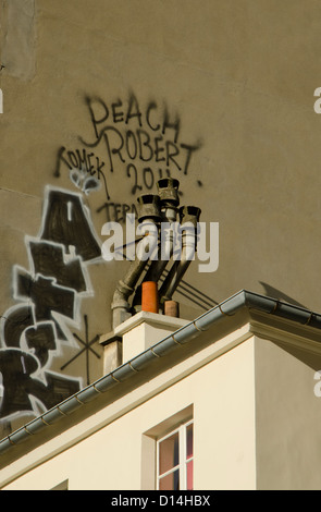 Chimenea Pariser Gebäudes Stockfoto