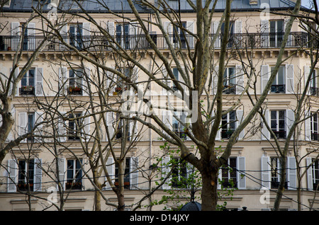 Fassade eines Pariser Gebäudes hinter Bäumen, Paris, Frankreich. Stockfoto