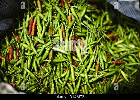 Haufen von frischen Chilis zum Verkauf auf Markt Stockfoto