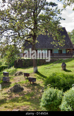 Alten traditionellen ukrainischen ländlichen Landhaus aus Stein mit Holzdach, blühenden Baum und einige alte Bienenstöcke im Vordergrund. Stockfoto