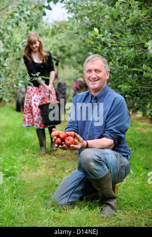 Apfelwein Herstellung in Broome Farm in der Nähe von Ross-on-Wye UK wo gibt es freie Campen und Verkostung zu freiwilligen Apple Picker Stockfoto
