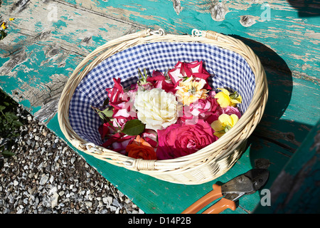 Korb mit Blumen auf Holzbank Stockfoto