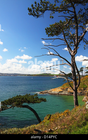 Kornischen Küste Ansicht mit blauem Meer und die Bäume. Stockfoto