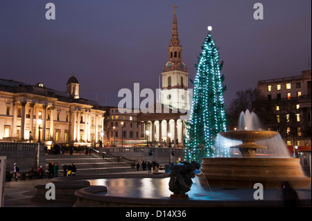 Der jährliche Weihnachtsbaum, der von Norwegen gespendet wird, am Trafalgar Square, London. Stockfoto