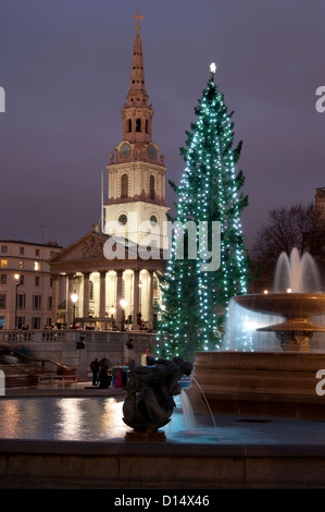 Der jährliche Weihnachtsbaum am Trafalgar Square wurde bei Nacht gedreht. Stockfoto