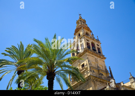 Moschee - Kathedrale von Córdoba in Spanien, der Mezquita. Glockenturm mit Palmen Stockfoto