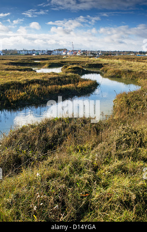 Hochwasser in einem Bach in Tollesbury Saltings in Essex. Stockfoto