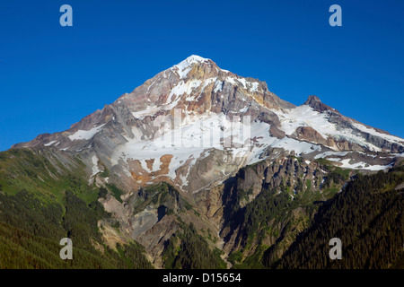 OREGON - Ansicht des Mount Hood von kahlen Berge im Abschnitt Mount Hood Wildnis des Mount Hood National Forest. Stockfoto