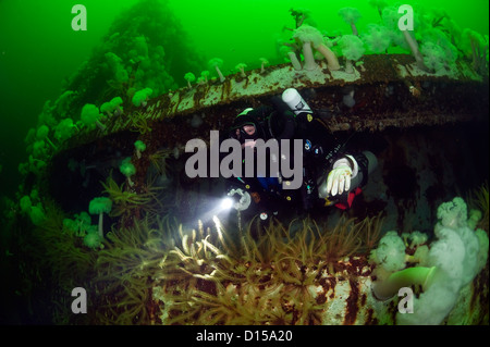 Das Wrack der Cape Breton ist ein beliebtes Ziel für Taucher in Nanaimo, Vancouver Island, Britisch-Kolumbien. Stockfoto