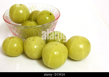 Stachelbeere Ribes Uva-crispa Stockfoto