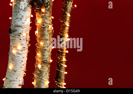 Roter Hintergrund mit Birken, eingehüllt in Weihnachtsbeleuchtung Stockfoto