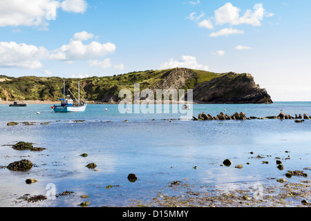 Küste bei Lulworth Cove Dorset England UK Stockfoto