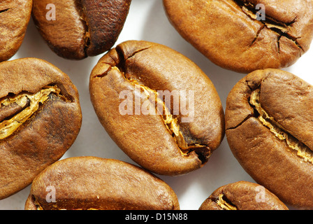 Kaffeebohnen isoliert auf weißem Hintergrund Stockfoto