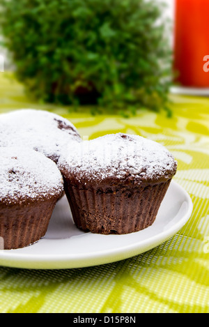 Schokoladen-Muffins mit Zucker auf weißen Teller Stockfoto