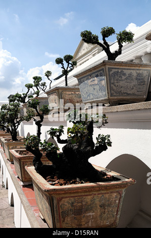 Grand Palace Bangkok Thailand Wat Phra Kaeo Tempel des Smaragd-Buddha Zierbäume topiary Garten design Stockfoto