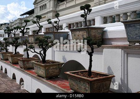 Grand Palace Bangkok Thailand Wat Phra Kaeo Tempel des Smaragd-Buddha Zierbäume topiary Garten design Stockfoto