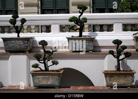 Grand Palace Bangkok Thailand Wat Phra Kaew Tempel des Smaragd-Buddha ornamentalen Tress topiary Garten design Stockfoto