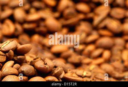 Nahaufnahme der aromatischen Kaffeebohnen Stockfoto