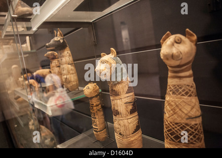 Alte ägyptische mumifizierten Katzen - Musée du Louvre, Paris Stockfoto