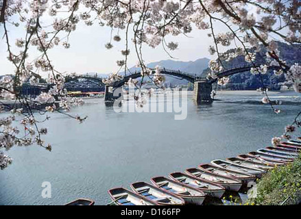Kintai-Brücke, Kintai, in die Stadt Iwakuni, Yamaguchi-Präfektur, Japan während der Kirschblüte. Stockfoto