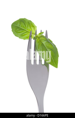 Basilikum-Kräuter lässt auf eine Gabel vor weißem Hintergrund Stockfoto