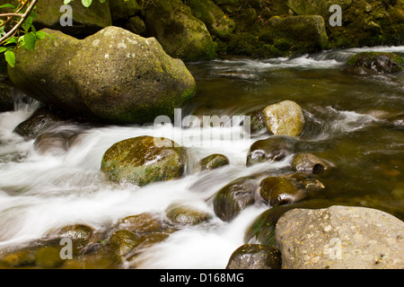 Wasser fließt über die Felsen im stream Stockfoto
