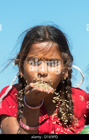 Ländliche Inderin bläst Reiskörner aus ihren Händen geerntet. Andhra Pradesh, Indien Stockfoto