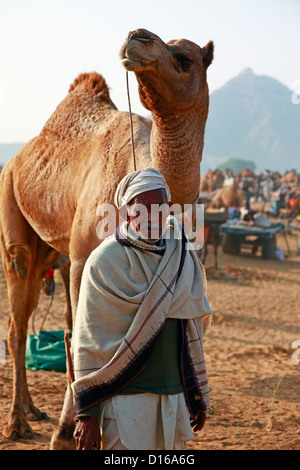 Kamel Eigentümer in Pushkar Stockfoto